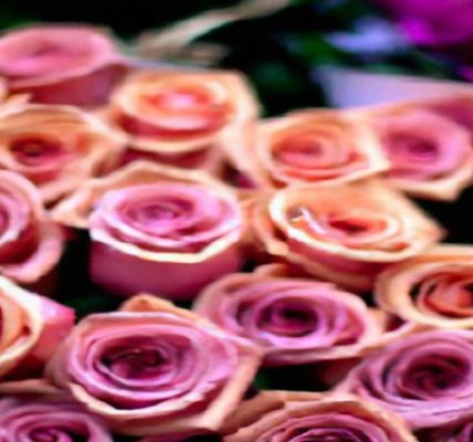 Ile kosztuje bukiet róż?